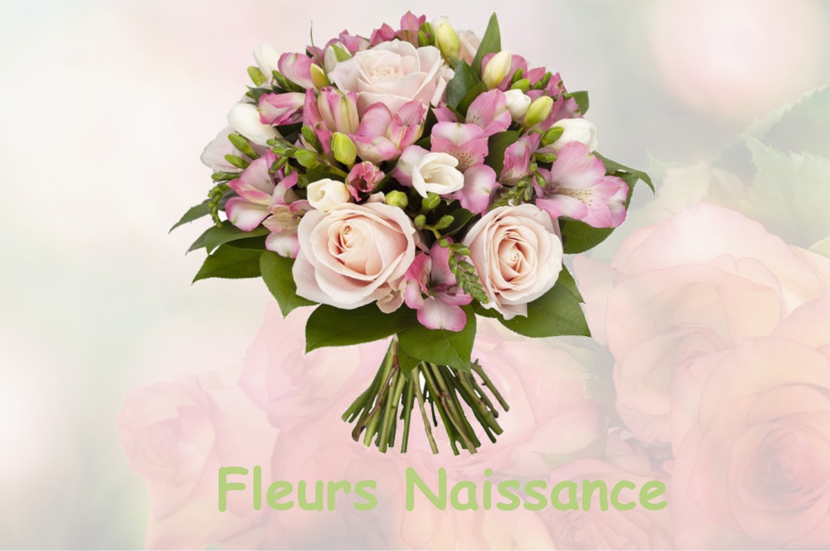 fleurs naissance SAINT-PIERRE-LES-ETIEUX